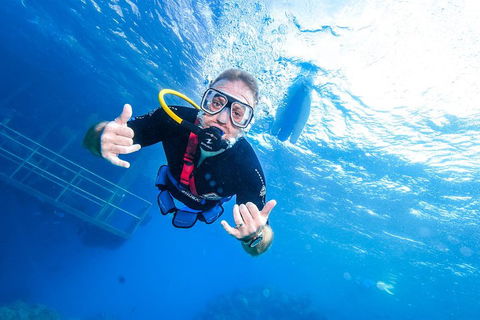 Great Barrier Reef Day Cruise From Cairns Including Snorkeling And Marine Biologist Presentation - Rent Accommodation 3