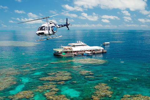 Great Barrier Reef Day Cruise From Cairns Including Snorkeling And Marine Biologist Presentation - Rent Accommodation 5