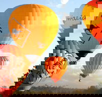 Natural Bridge  Springbrook Waterfalls Tour  Hot Air Balloon with Breakfast - Rent Accommodation