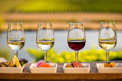 West Tamar Wine Tour - Rent Accommodation 1