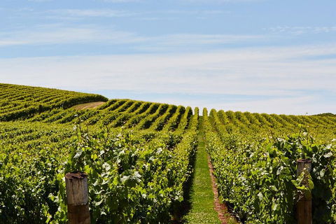 West Tamar Wine Tour - Rent Accommodation 2