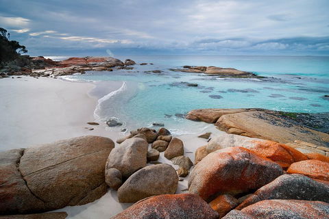 Wineglass Bay Private Charter Service - Rent Accommodation 0