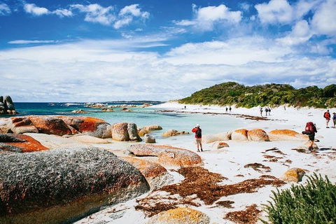 Wineglass Bay Private Charter Service - Rent Accommodation 3