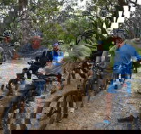 Fully guided E-Mountain Bike Tour on the beautiful Mornington Peninsula. - Rent Accommodation