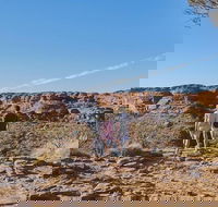 The Amazing Kings Canyon 4-Hours Walking Tour and Hike - Rent Accommodation