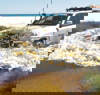 Full-Day Moreton Island 4x4 Sightseeing Tour - Rent Accommodation