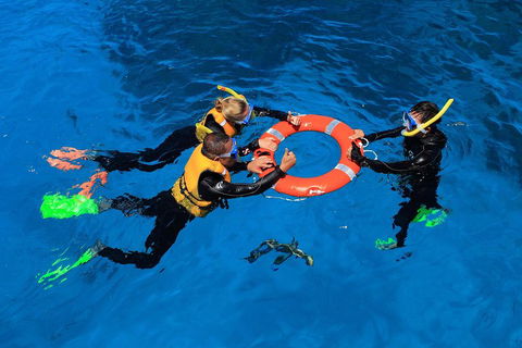 Great Barrier Reef Adventure From Cairns - Rent Accommodation 3