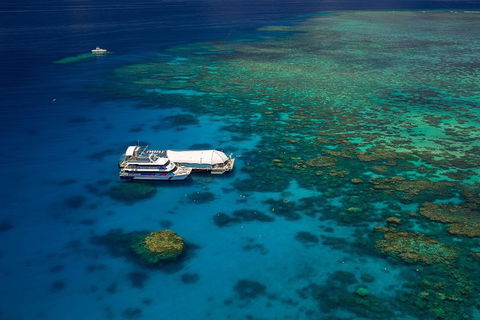 Great Barrier Reef Adventure From Cairns - Rent Accommodation 4