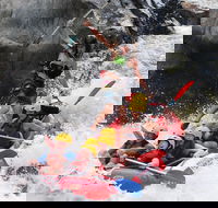 Barron Gorge National Park Half-Day White Water Rafting from Cairns or Port Douglas - Rent Accommodation