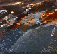 One Day Litchfield Park Adventures - Rent Accommodation