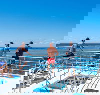 Calypso Outer Great Barrier Reef Cruise from Port Douglas - Rent Accommodation