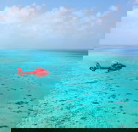 Port Douglas Scenic Flights - Rent Accommodation