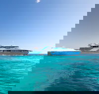 Rottnest Island All-Inclusive Grand Island Tour from Fremantle - Rent Accommodation