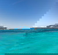 Rottnest Island Bayseeker Day Trip from Perth - Rent Accommodation