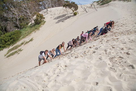 6-Day Tasmanian Explorer Adventure Tour From Hobart - Rent Accommodation 2