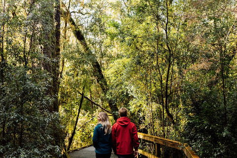 Gordon River Cruise Departing From Strahan - Rent Accommodation 2