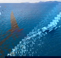 2-Night Whitsunday Islands Sailing Adventure on Trimaran Avatar - Rent Accommodation