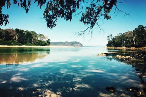 Full-Day Guided Bruny Island Tour From Hobart - Rent Accommodation 1