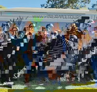 Full Day Mount Tamborine Winery Tour from Gold Coast - Rent Accommodation