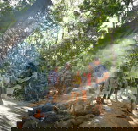 Mossman Gorge Adventure Day - Rent Accommodation
