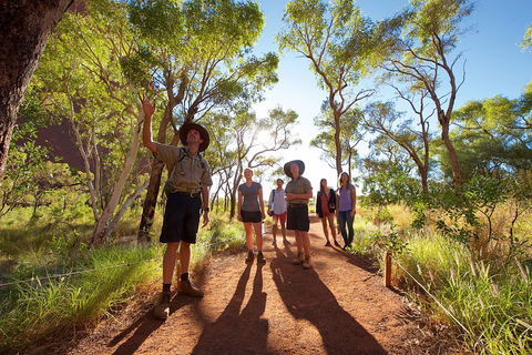 Uluru Small Group Tour Including Sunset - Rent Accommodation 0
