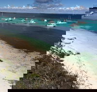 Experience Rottnest with Ferry  Bike Hire from Perth or Fremantle - Rent Accommodation
