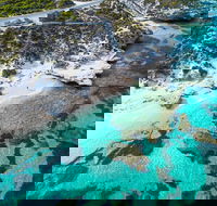 Rottnest Island Round-Trip Ferry from Perth or Fremantle - Rent Accommodation