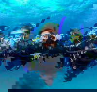 Great Barrier Reef Diving and Snorkeling Cruise from Cairns - Rent Accommodation