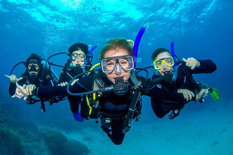 Great Barrier Reef Diving And Snorkeling Cruise From Cairns - Rent Accommodation 0