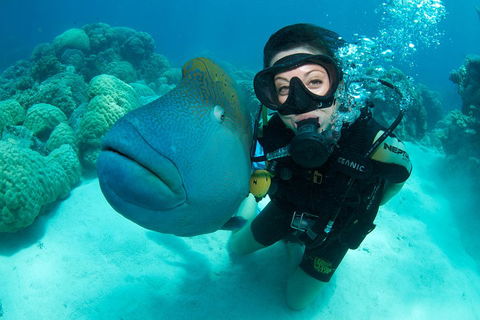 Great Barrier Reef Diving And Snorkeling Cruise From Cairns - Rent Accommodation 2