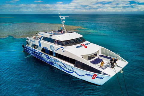 Great Barrier Reef Diving And Snorkeling Cruise From Cairns - Rent Accommodation 5