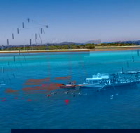 Ocean Free Green Island  Great Barrier Reef Snorkel Cruise Cairns 25 guests - Rent Accommodation