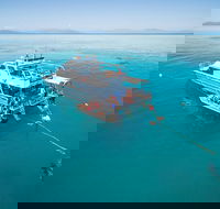Ocean Freedom Great Barrier Reef Personal Luxury Snorkel  Dive Cruise Cairns - Rent Accommodation