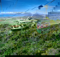 Best of Kuranda Including Skyrail Kuranda Scenic Railway and Rainforestation - Rent Accommodation