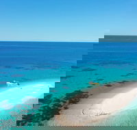 Ocean Safari Great Barrier Reef Experience in Cape Tribulation - Rent Accommodation