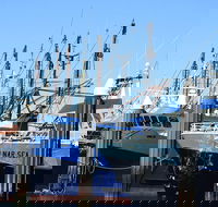 One Day Port Lincoln Tour - Tasting Eyre - Rent Accommodation