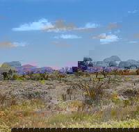 Overnight Uluru Ayers Rock Small-Group Camping Tour - Rent Accommodation
