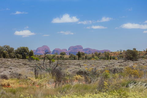 Overnight Uluru (Ayers Rock) Small-Group Camping Tour - Rent Accommodation 0