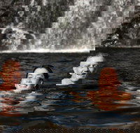 3 Day 4WD Dragonfly Dreaming Top End Safari - Rent Accommodation