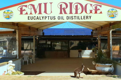 2 Day Ultimate Kangaroo Island With Return Ferry - Rent Accommodation 3