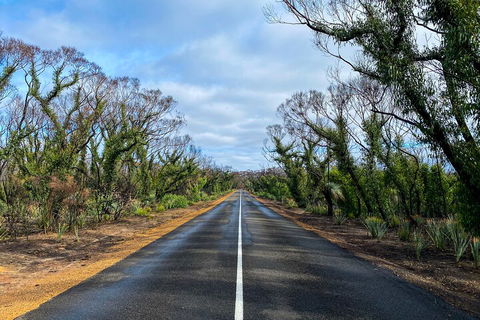 2 Day Ultimate Kangaroo Island With Return Ferry - Rent Accommodation 4