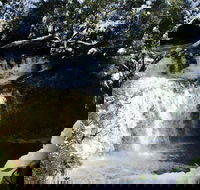 Cradle Mountain Day Tour from Launceston Including Lunch - Rent Accommodation