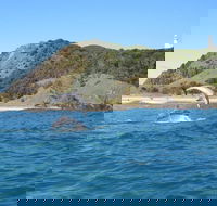 Kayaking with Dolphins in Byron Bay Guided Tour - Rent Accommodation