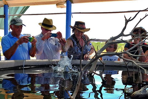 Cape Leveque 4WD Tour From Broome With Optional Return Flight - Rent Accommodation 0