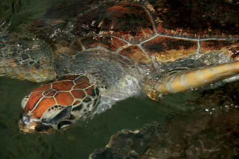 Cape Leveque 4WD Tour From Broome With Optional Return Flight - Rent Accommodation 2