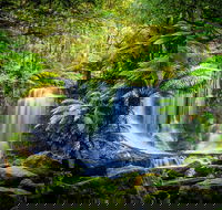 Day Tour in Mt. Field Mt. Wellington Bonorong Wildlife Sanctuary and Richmond - Rent Accommodation