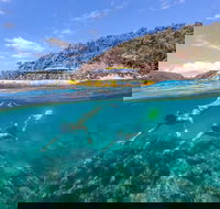 Great Barrier Reef Scenic Flight and Ocean Rafting Whitehaven Beach Day Trip - Rent Accommodation