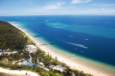 Tangalooma Island Resort Whale Watching Day Cruise With Dolphin Feeding - Rent Accommodation 2