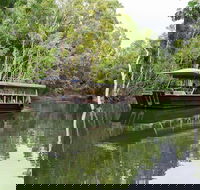 Hartley's Crocodile Adventures Breakfast with the Koalas - Rent Accommodation