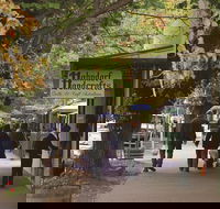 Adelaide Highlights Hahndorf  McLaren Vale Wine Tasting and Sightseeing Tour - Rent Accommodation